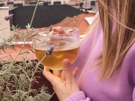 Mi taza de té sostenible: alimentos libres de plástico