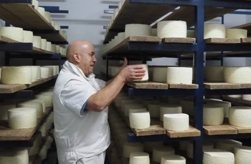 Quesería Artesanal San Martín