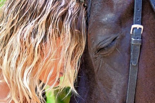 CABALLOS MAESTROS