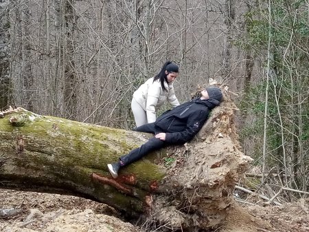 Baños de Bosque: en busca del bosque