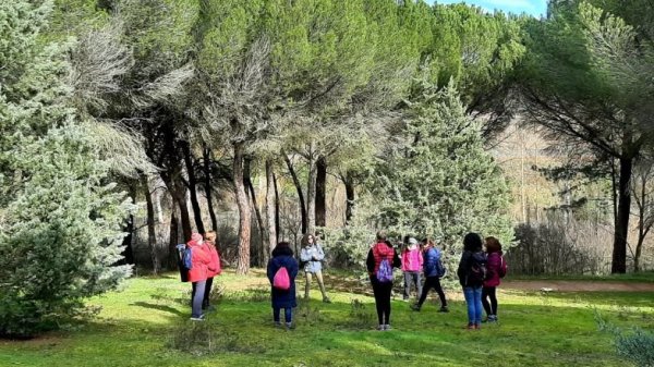 Baños de bosque para reconectar tu espíritu con la naturaleza