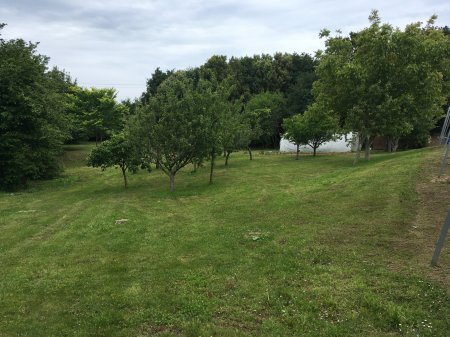 ECOAULAS: Integrando el medio natural en las aulas (CEIP COSTA QUEBRADA)
