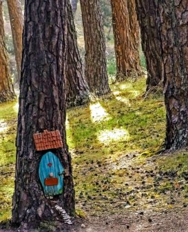 BOSQUE MÁGICO FUENTE DE PINO