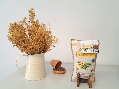 Lentejas de Tierra de Campos: sabor, tierra y legado rural