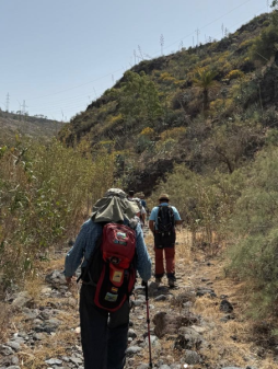 Rutas Vivas: Flora y Paisaje con el Colectivo Turcón