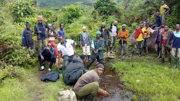 Reforestación contra el cambio climático