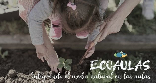 ECOAULAS: Integrando el medio natural en las aulas (CEIP COSTA QUEBRADA)