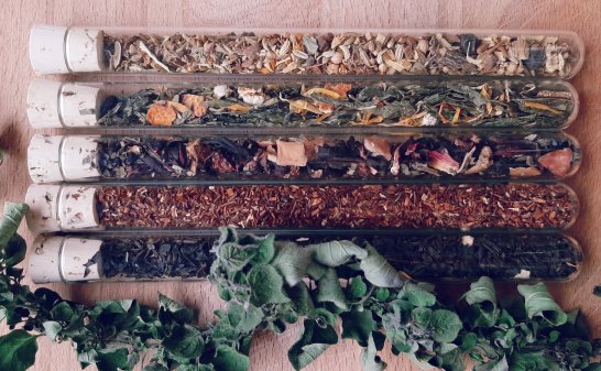 Mi taza de té sostenible: alimentos libres de plástico