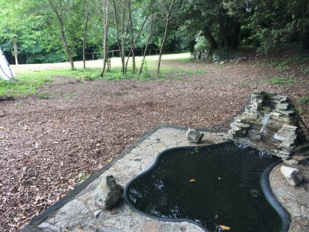 ECOAULAS: Integrando el medio natural en las aulas (CEIP COSTA QUEBRADA)