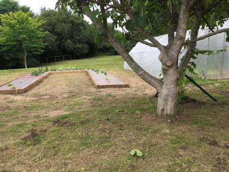 ECOAULAS: Integrando el medio natural en las aulas (CEIP COSTA QUEBRADA)