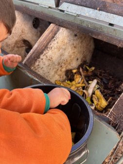 Compostera E.E.I. Doña Carmela