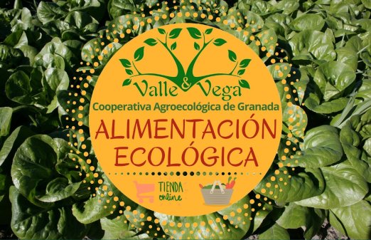 Valle y Vega Cooperativa Agroecológica de Granada, Fomentamos un consumo sostenible.