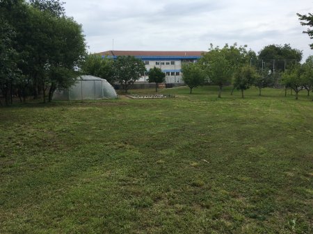 ECOAULAS: Integrando el medio natural en las aulas (CEIP COSTA QUEBRADA)