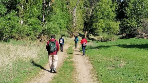 Baños de bosque para reconectar tu espíritu con la naturaleza