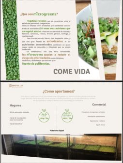 Perpetual Microgreens: Come Vida