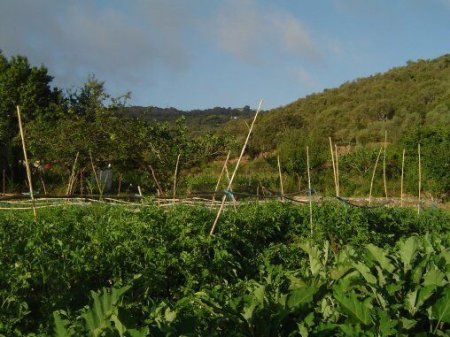 Piel con piel. Productos ecológicos a pie de huerta.