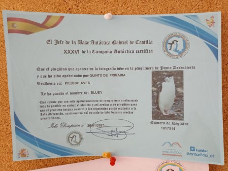 Conciencia medioambiental