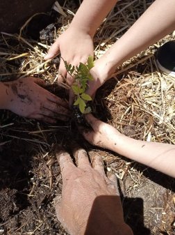  Huertos escolares de Pedrezuela y del Molar, regenerativos contra el cambio climático