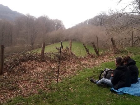 Baños de Bosque: en busca del bosque
