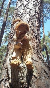 BOSQUE MÁGICO FUENTE DE PINO