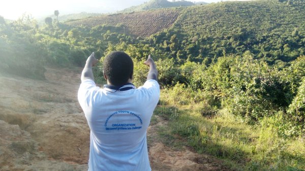 Reforestación contra el cambio climático