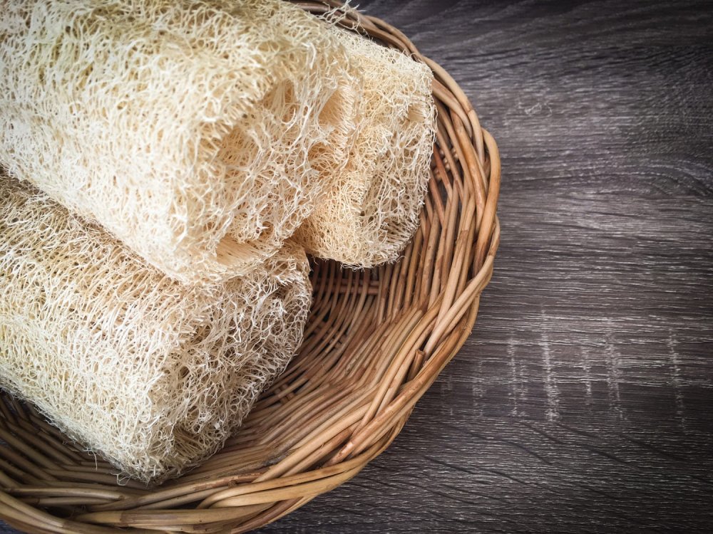 Esponjas de Luffa: Qué son, beneficios y usos