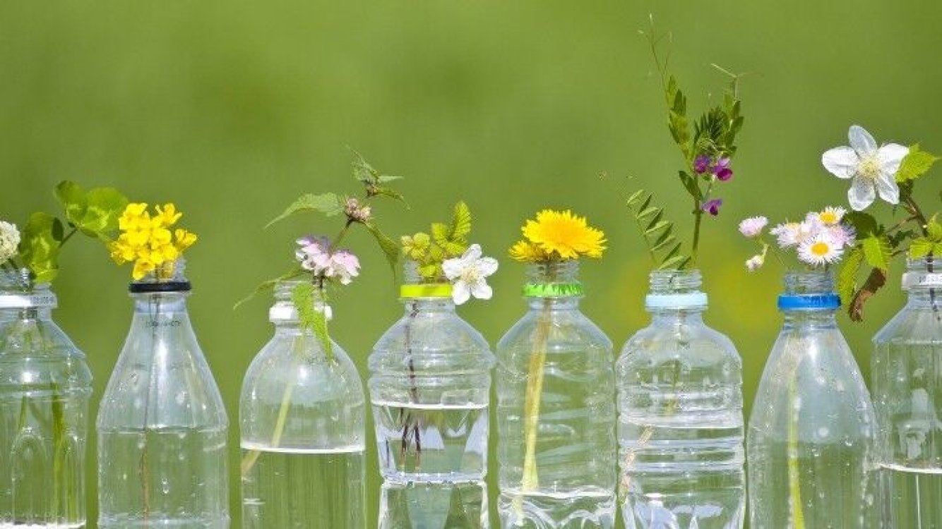 Independientemente Aleta apilar Descubre Cómo Reutilizar Botellas de Plástico | Blog Ecólatras