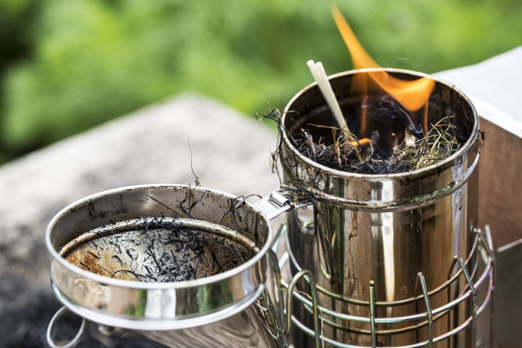 Biochar: el carbón vegetal que atrapa CO2 y regenera la tierra