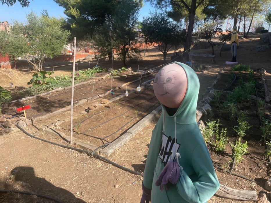Huerto Escolar y Comunitario 
