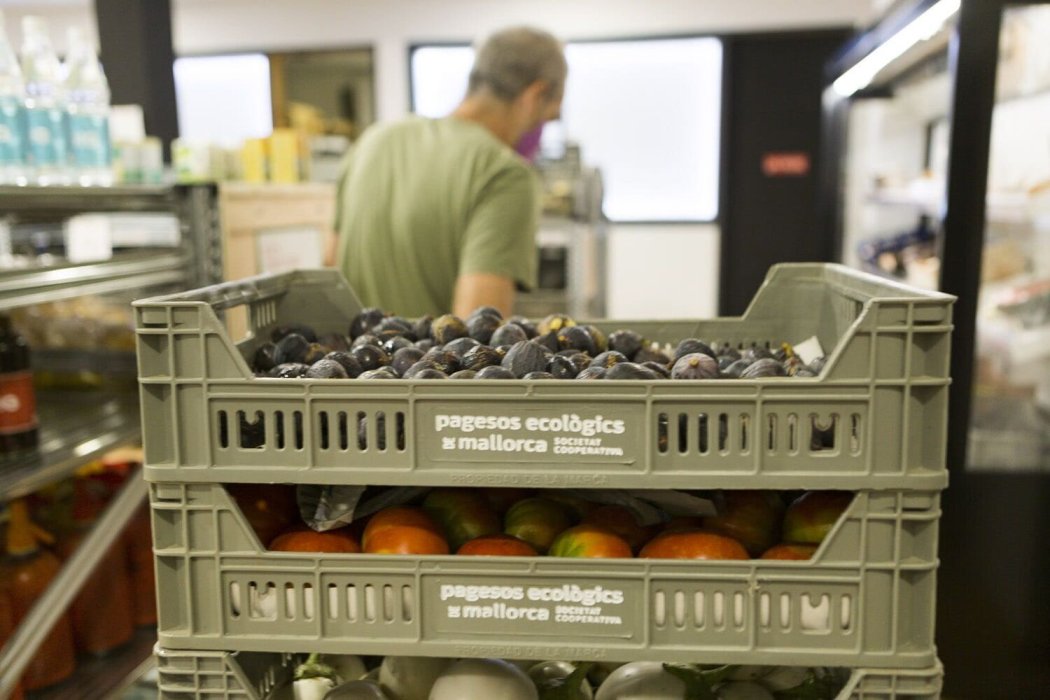 Supermercado cooperativo Terranostra: el consumo que transforma