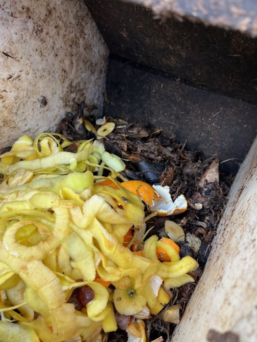 Compostera E.E.I. Doña Carmela