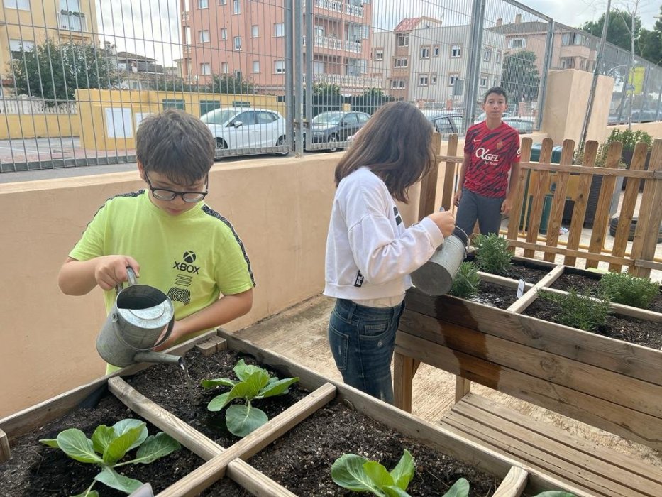 Huerto escolar