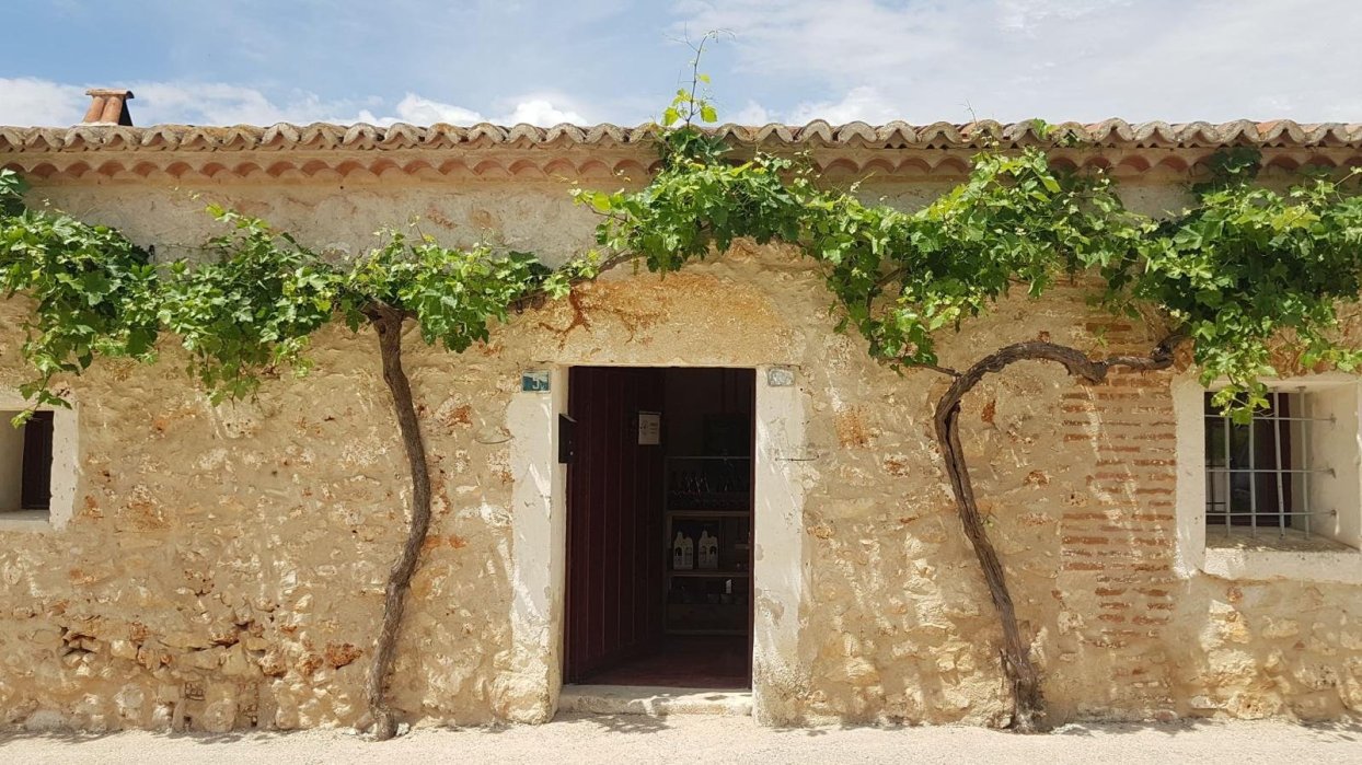 BODEGA SOSTENIBLE