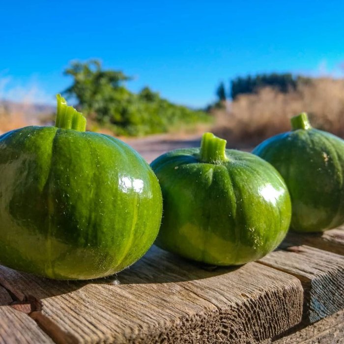 Valle y Vega Cooperativa Agroecológica de Granada, Fomentamos un consumo sostenible.