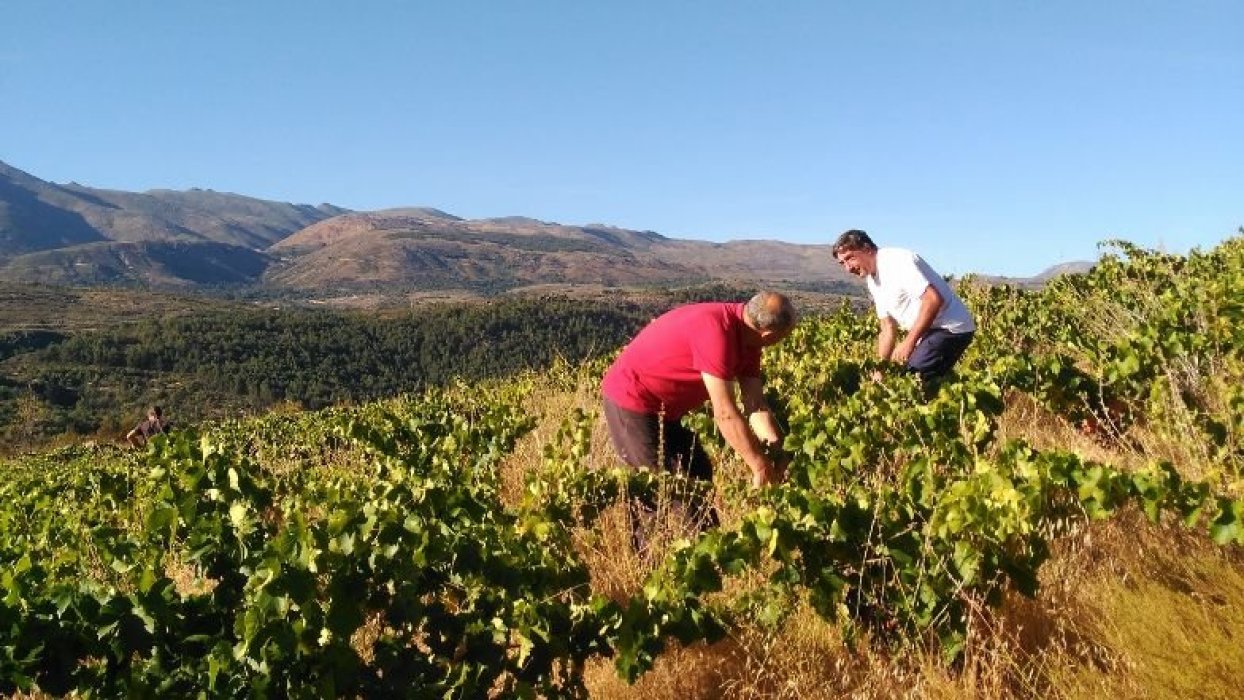Bodega 7Navas