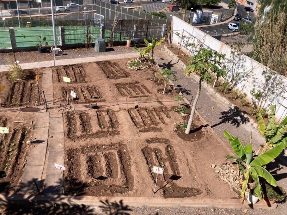  “Manos a la Tierra” CEIP Barranco las Torres
