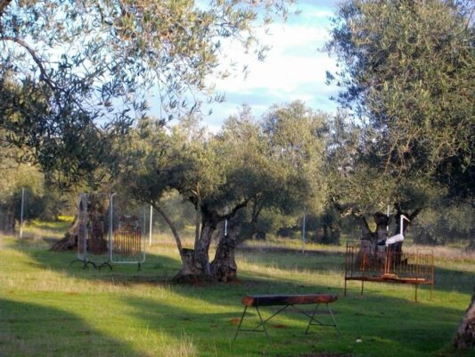 Parque de esculturas Bravo por el Reciclaje