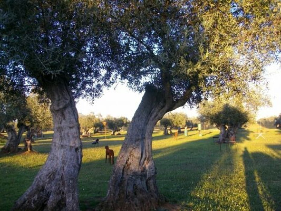 Parque de esculturas Bravo por el Reciclaje