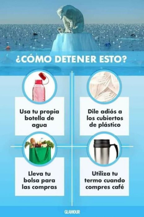 Proyecto 