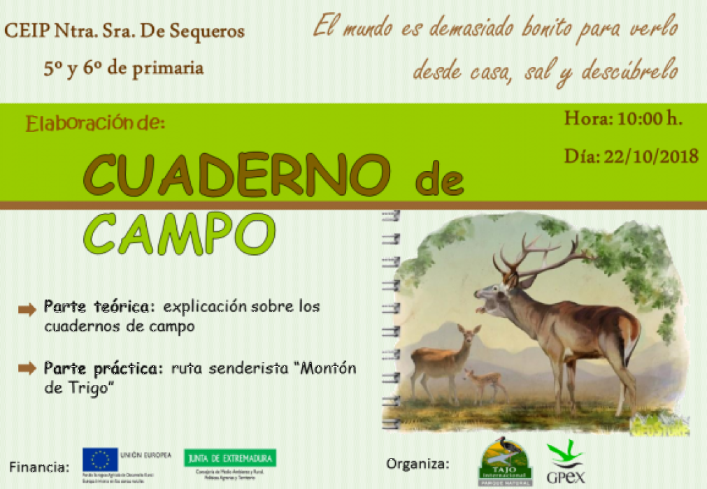Crea tu Cuaderno de Campo