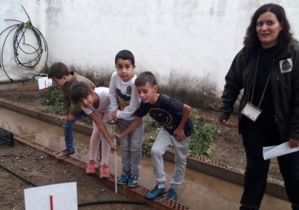 Taller Ciclo del Agua