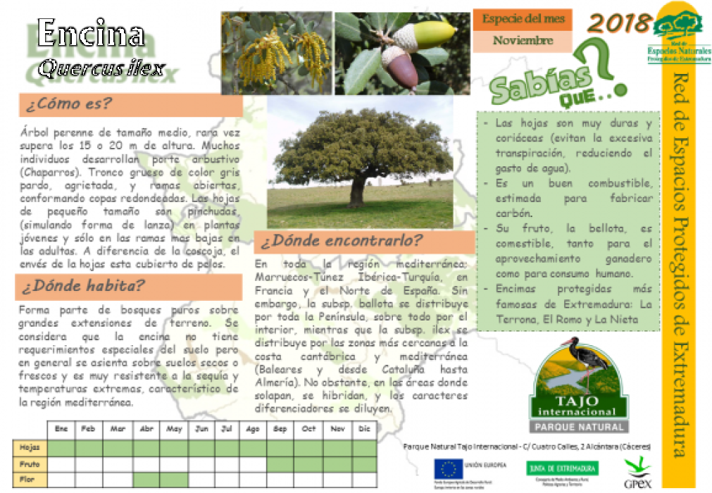 Calendario de especies Tajo Internacional
