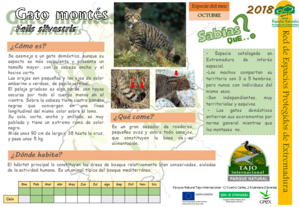 Calendario de especies Tajo Internacional