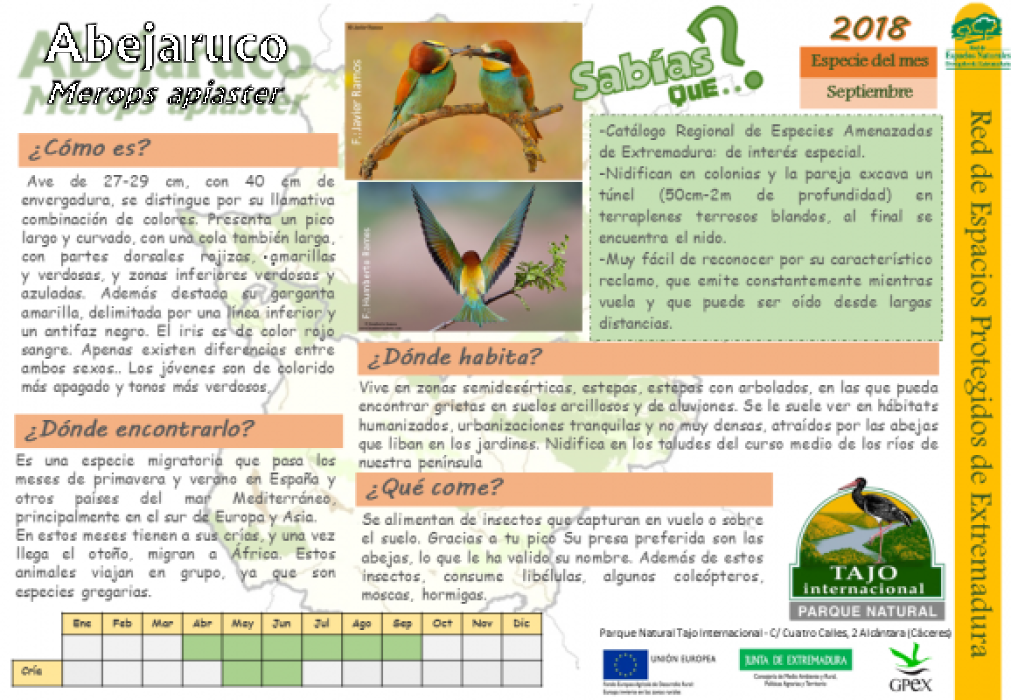 Calendario de especies Tajo Internacional