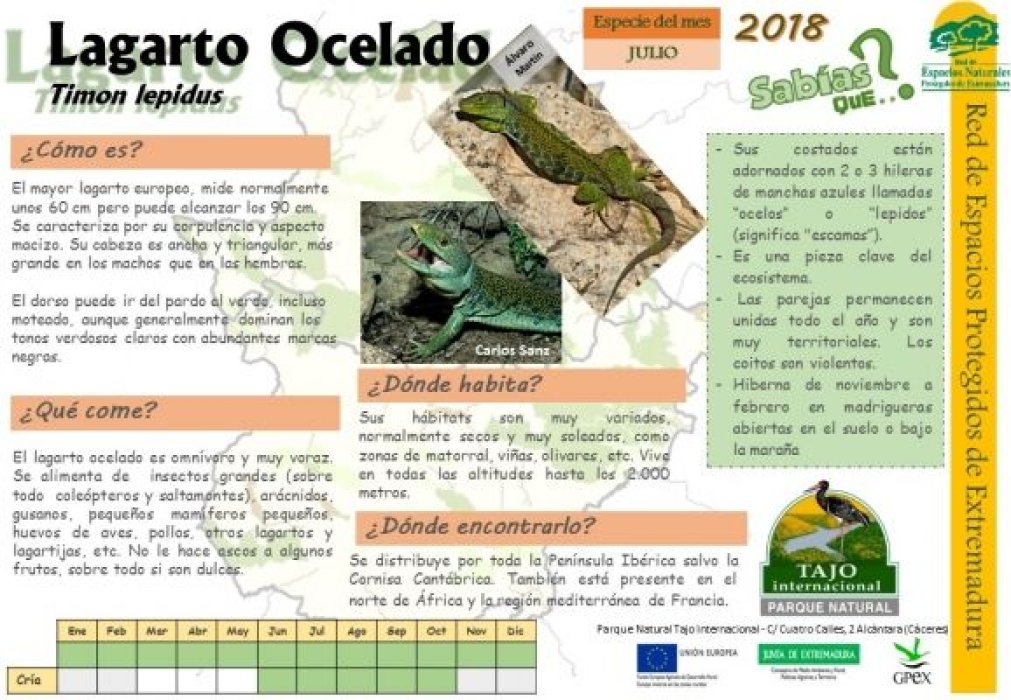 Calendario de especies Tajo Internacional