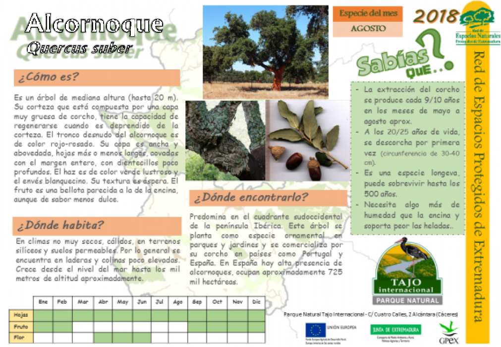 Calendario de especies Tajo Internacional