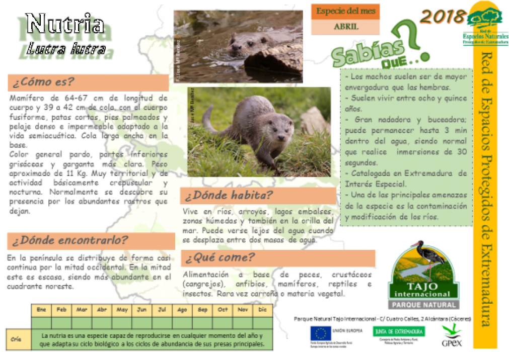 Calendario de especies Tajo Internacional