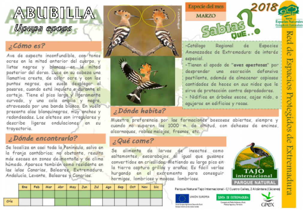 Calendario de especies Tajo Internacional