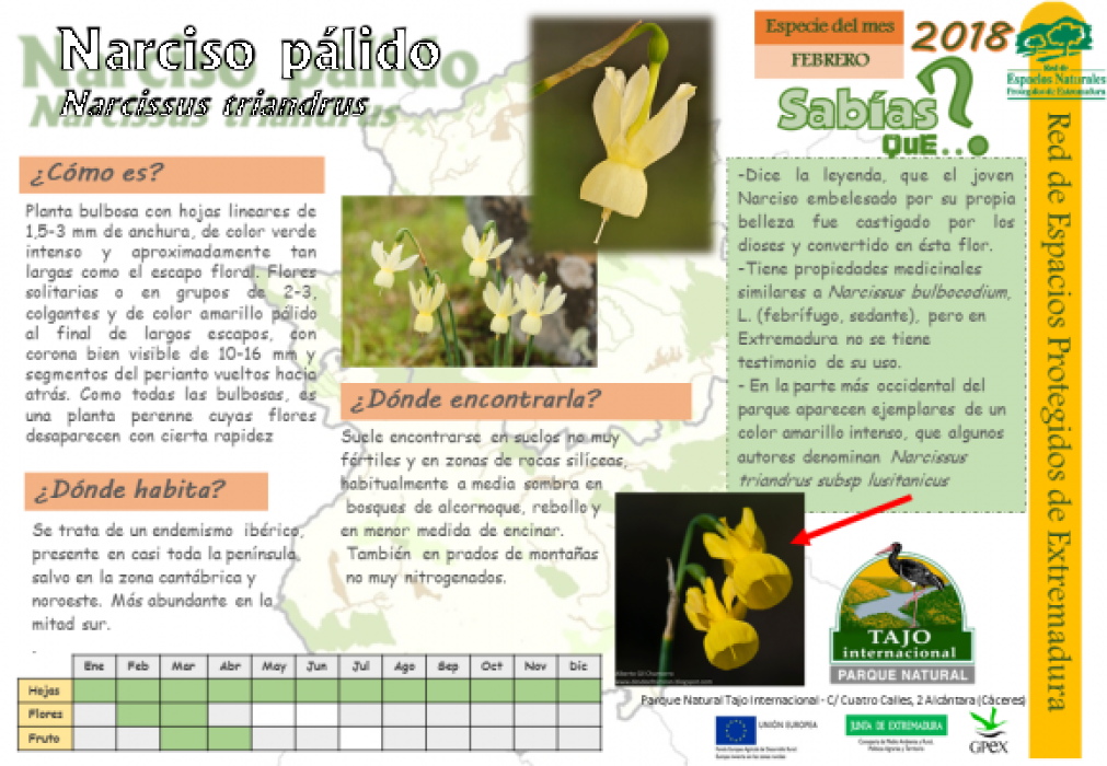 Calendario de especies Tajo Internacional