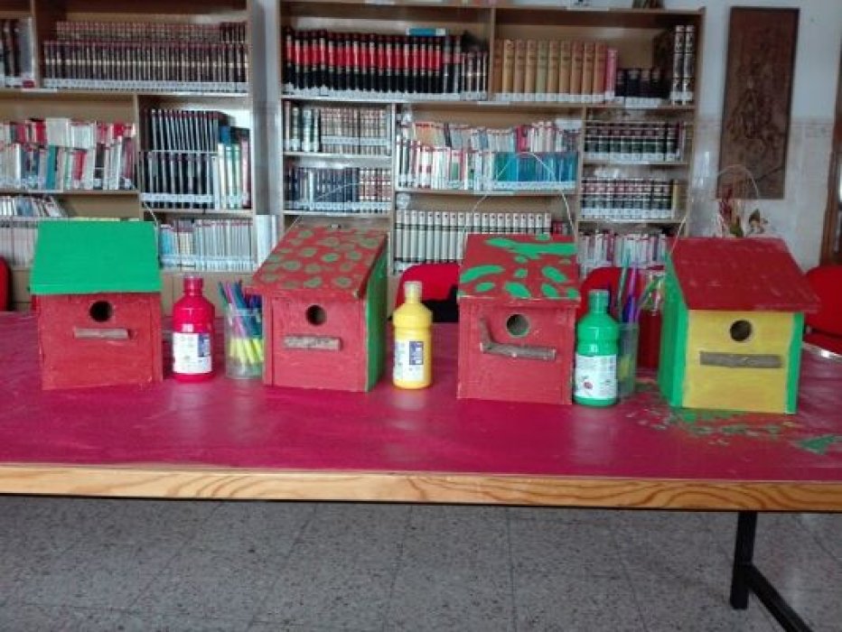 CREANDO BIODIVERSIDAD - TALLER CAJAS NIDO